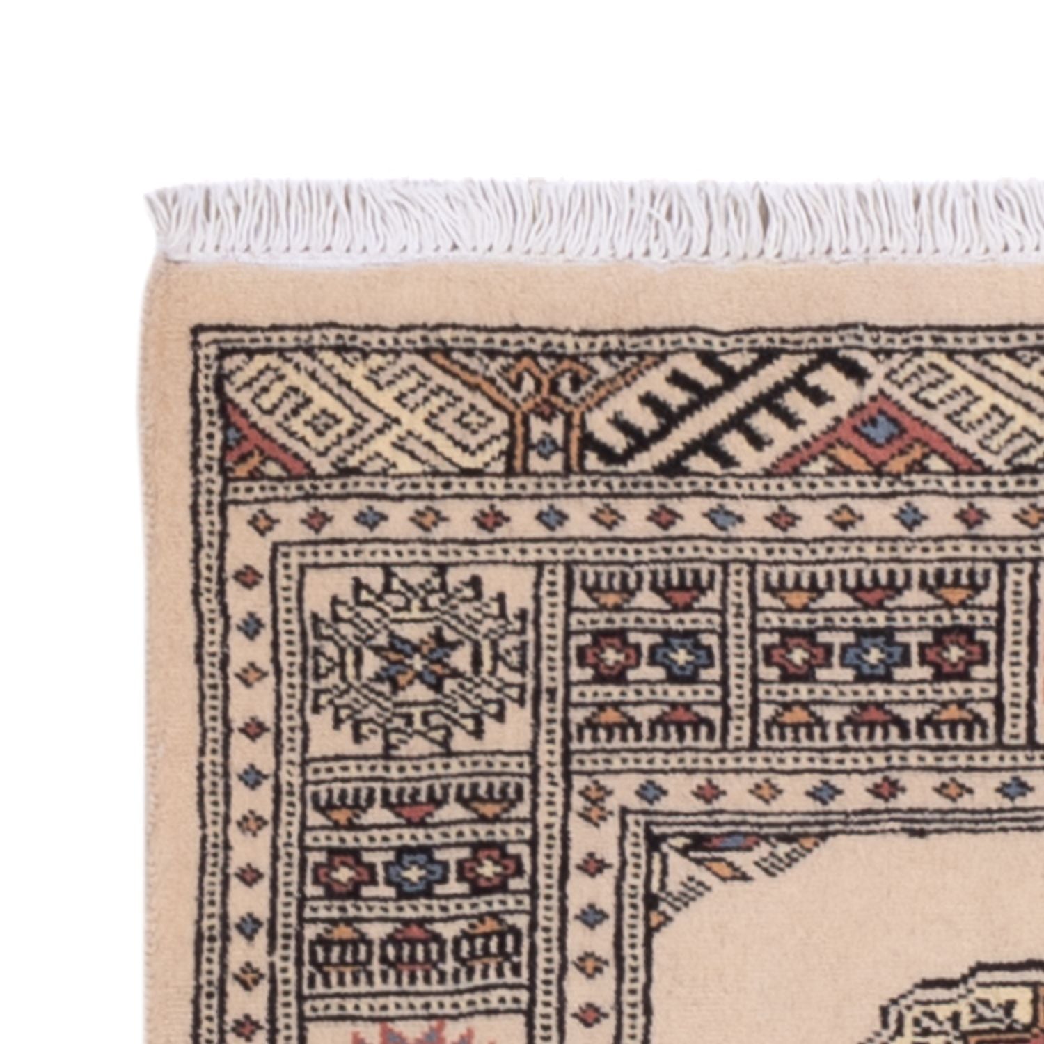 Tapis de couloir Tapis Pakistani - 234 x 76 cm - beige