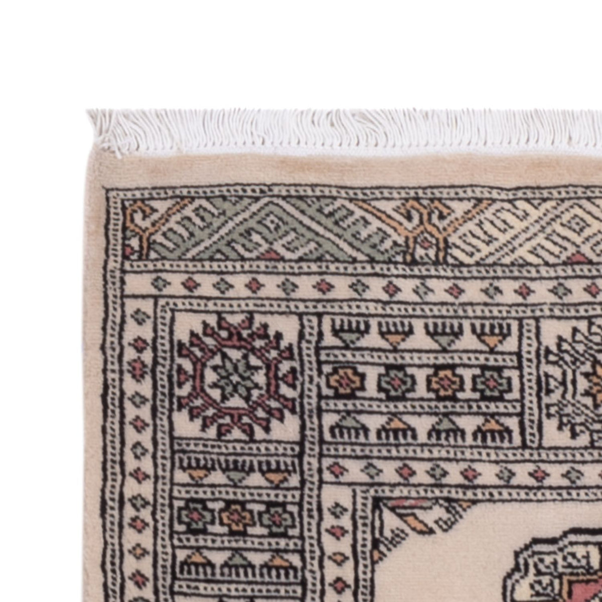 Tapis de couloir Tapis Pakistani - 254 x 77 cm - beige