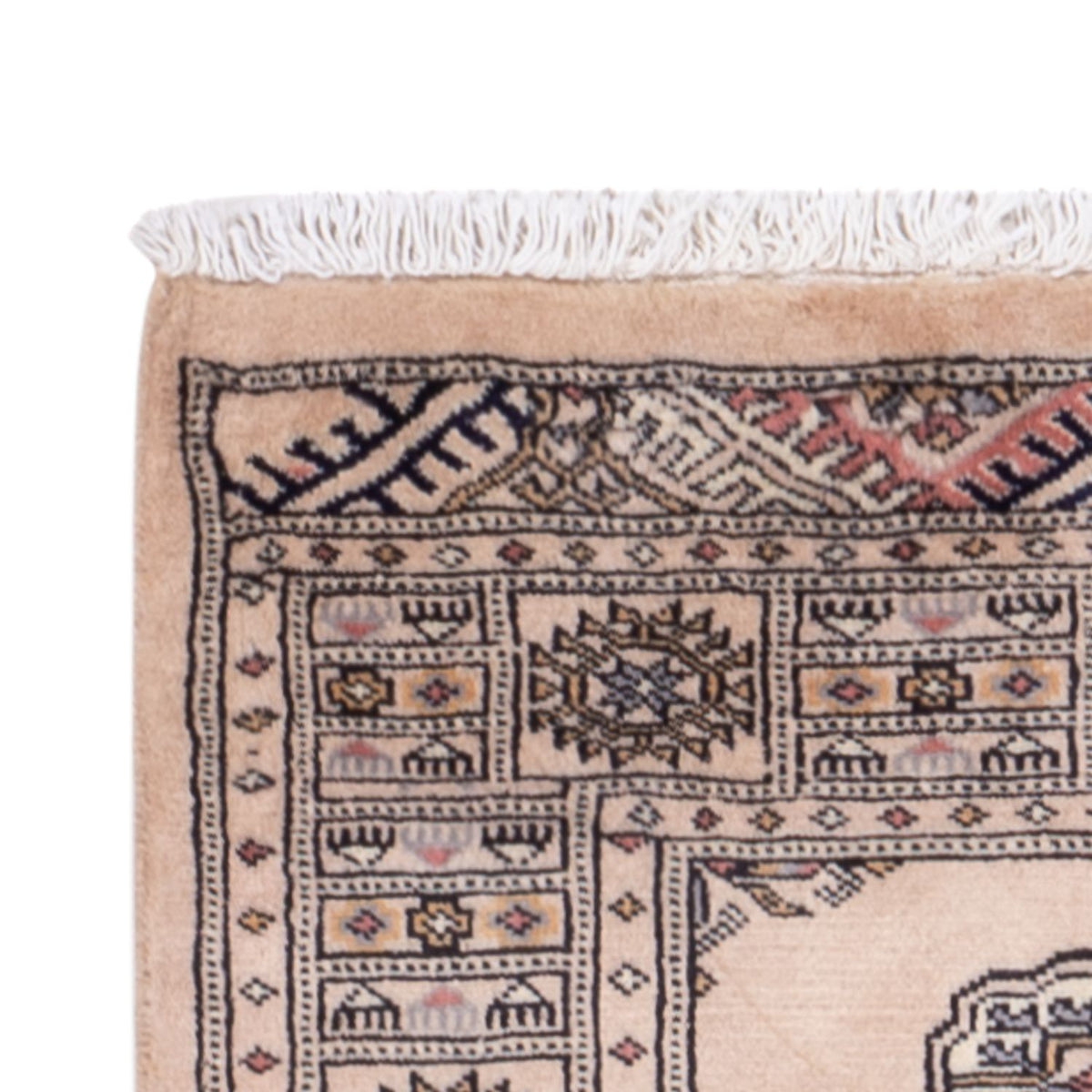 Tapis de couloir Tapis Pakistani - 224 x 79 cm - beige