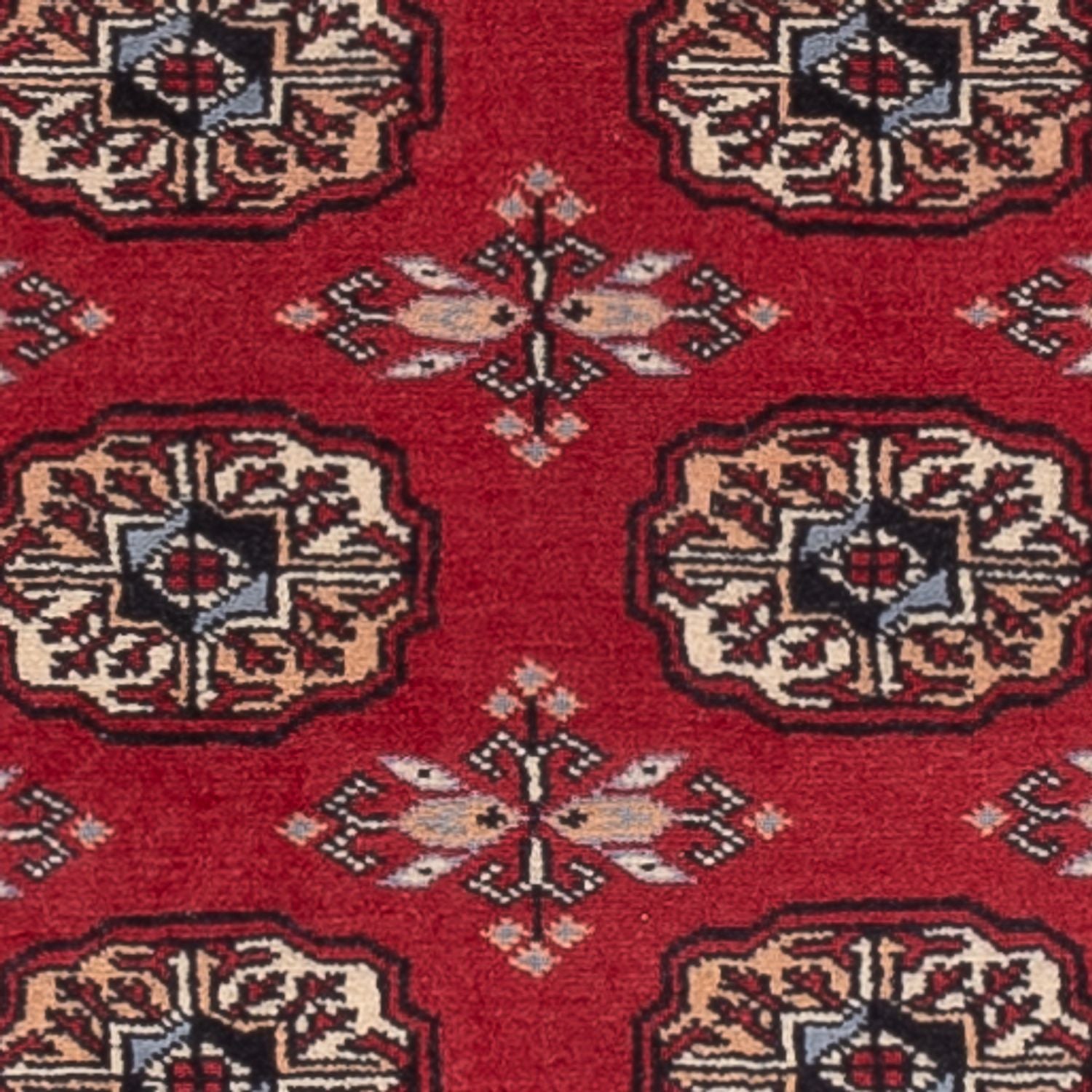 Tapis de couloir Tapis Pakistani - 224 x 80 cm - rouge
