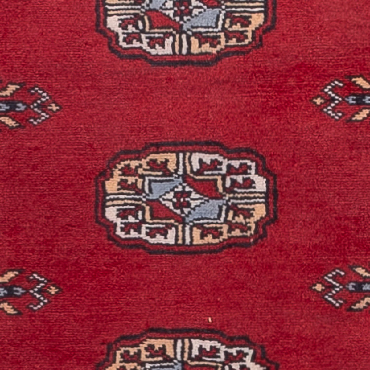 Tapis de couloir Tapis Pakistani - 259 x 80 cm - rouge