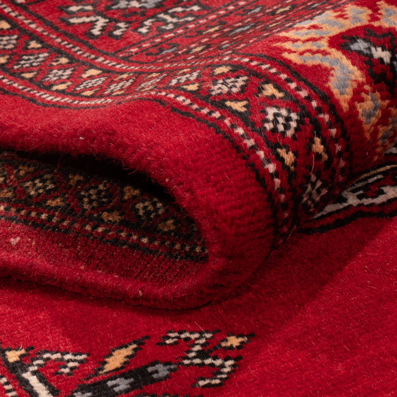 Tapis de couloir Tapis Pakistani - 259 x 80 cm - rouge