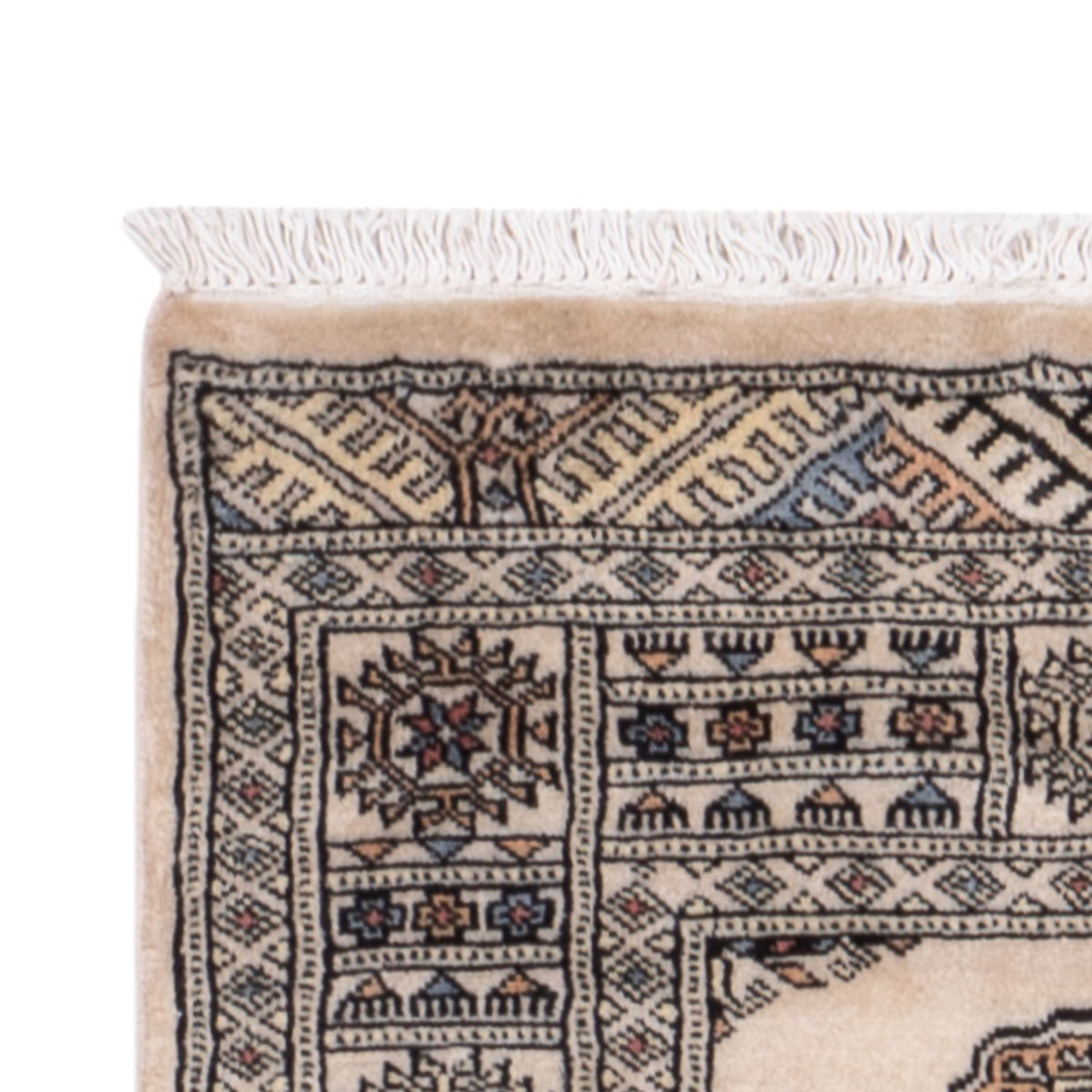 Tapis de couloir Tapis Pakistani - 244 x 77 cm - beige