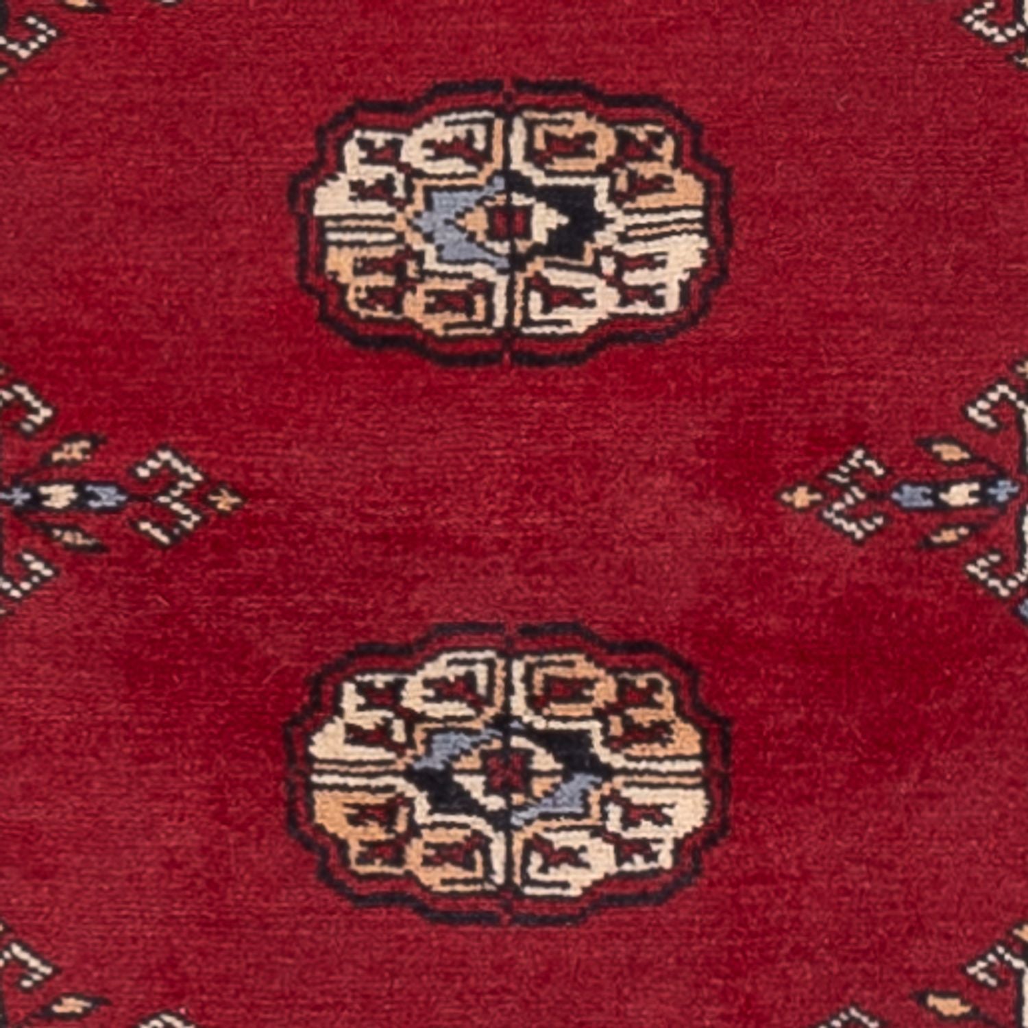 Tapis de couloir Tapis Pakistani - 241 x 77 cm - rouge