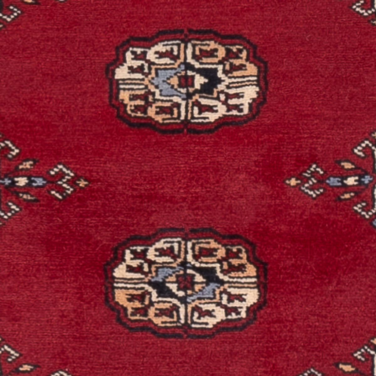 Tapis de couloir Tapis Pakistani - 241 x 77 cm - rouge