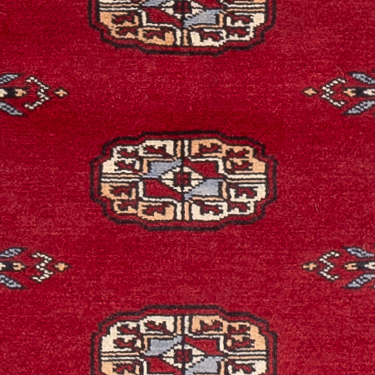 Tapis de couloir Tapis Pakistani - 239 x 79 cm - rouge