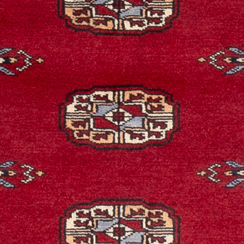 Tapis de couloir Tapis Pakistani - 239 x 79 cm - rouge