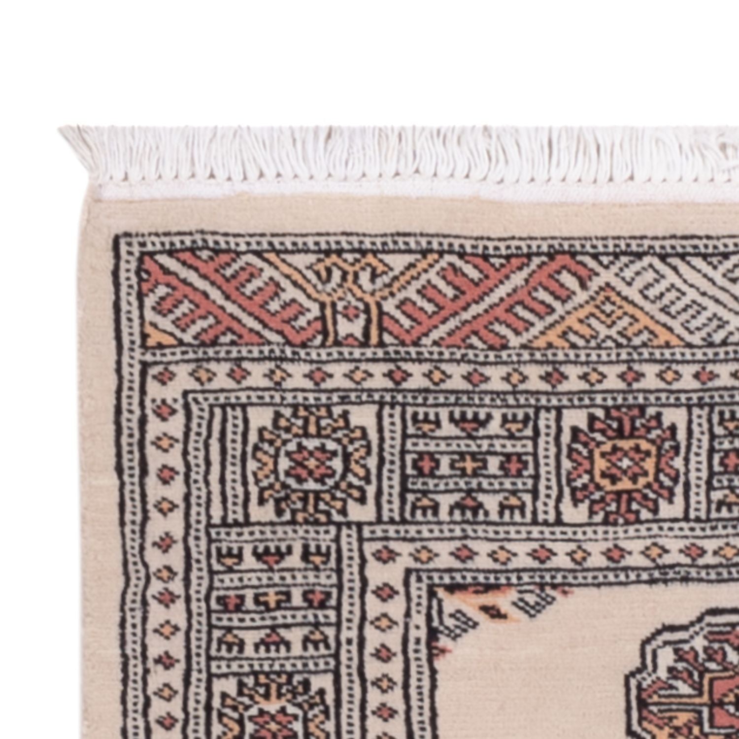 Tapis de couloir Tapis Pakistani - 182 x 77 cm - beige