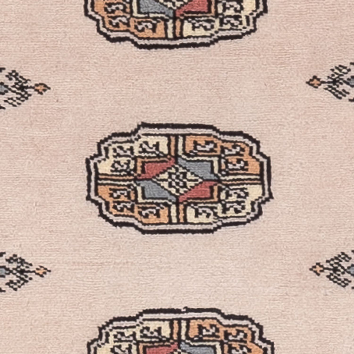 Tapis de couloir Tapis Pakistani - 193 x 77 cm - beige