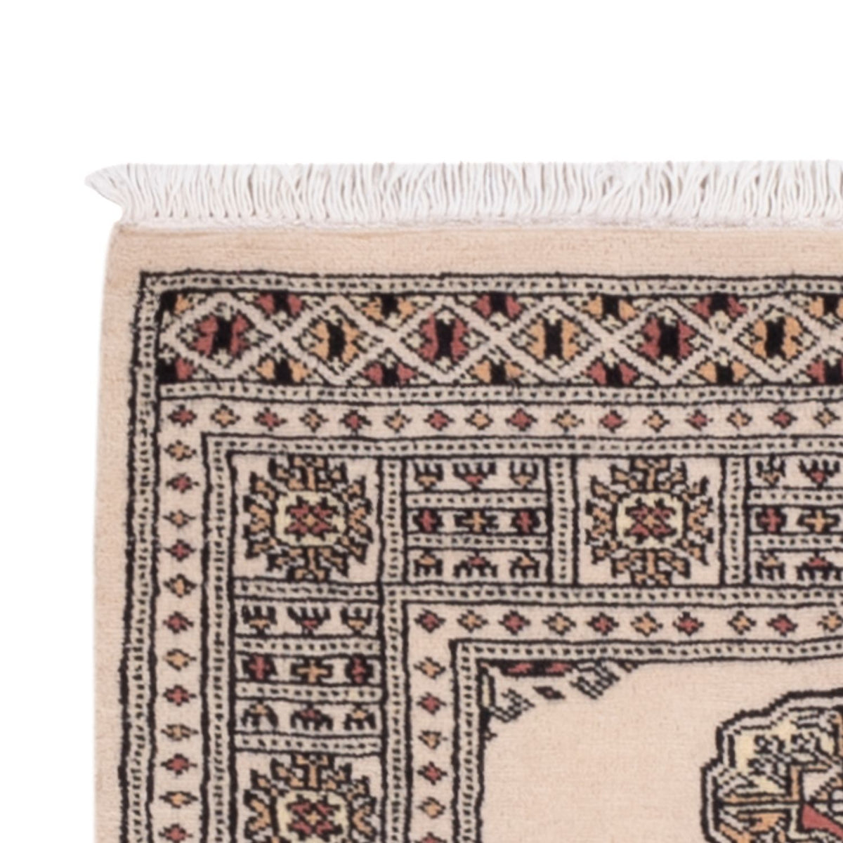 Tapis de couloir Tapis Pakistani - 193 x 79 cm - beige