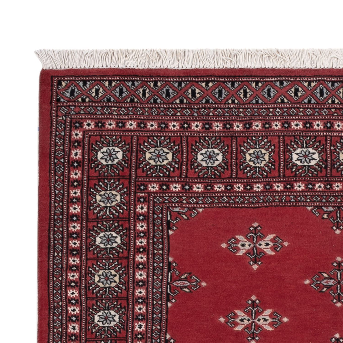 Tapis Pakistani 199x140cm - Tapis oriental