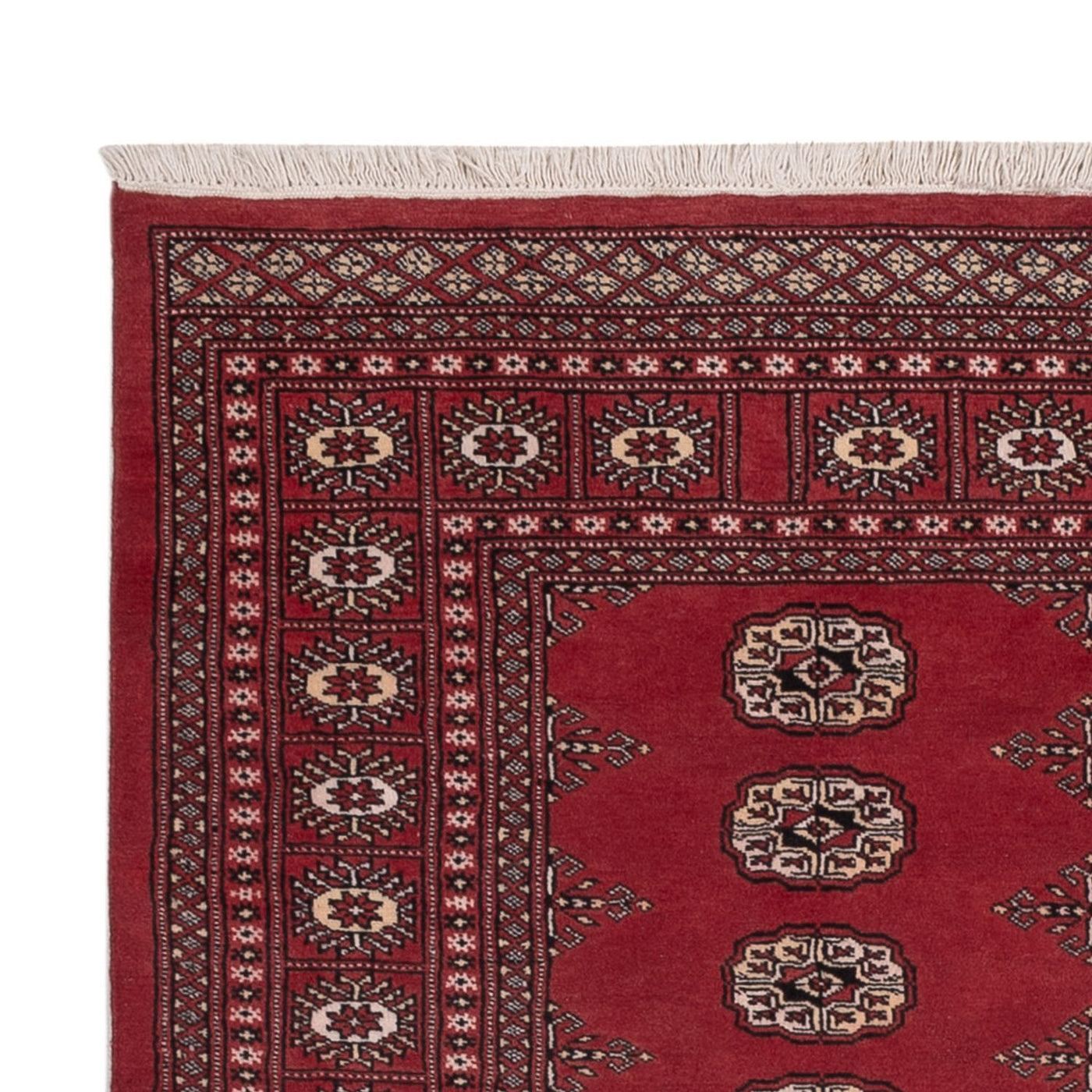 Tapis Pakistani 185x138cm - Tapis oriental