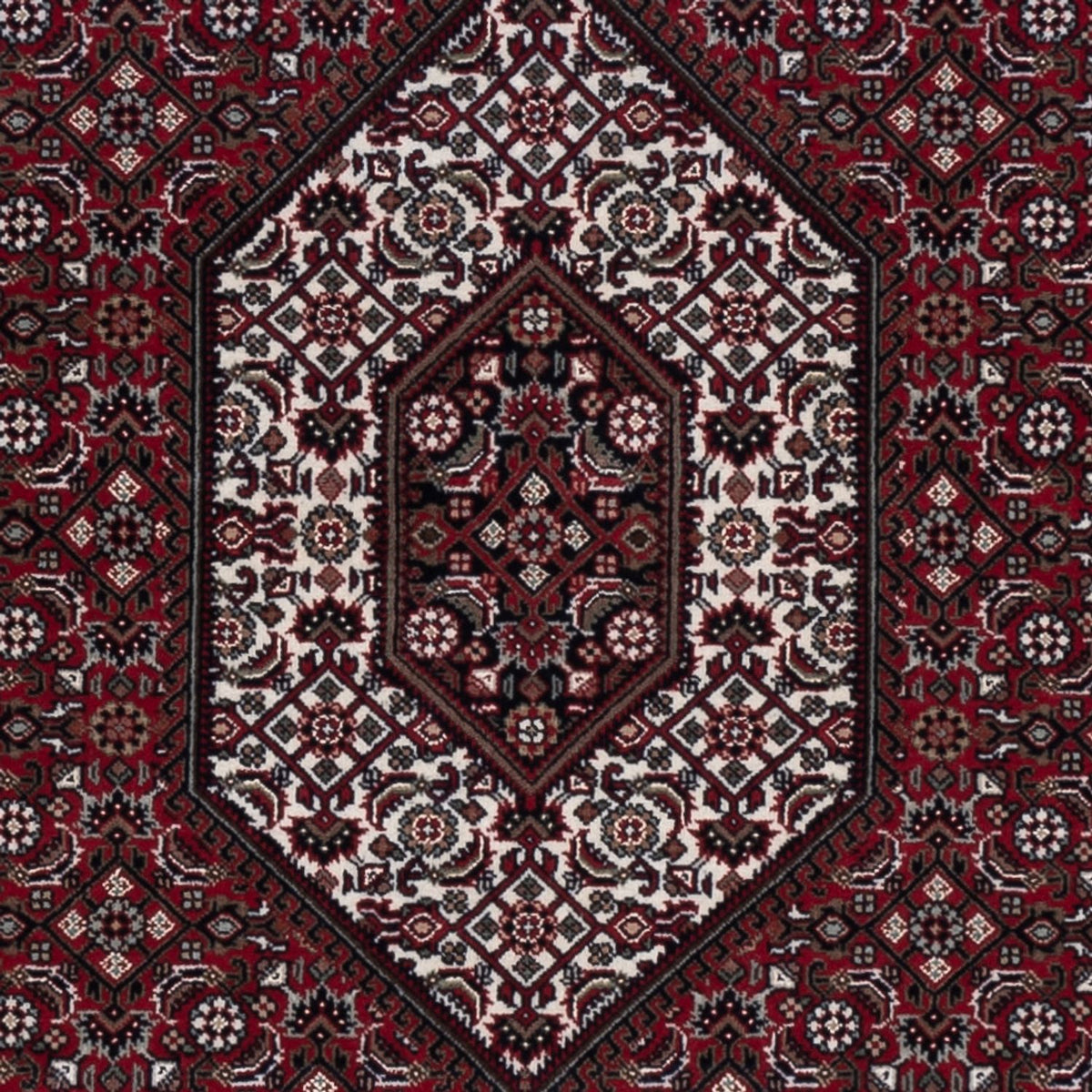 Tapis oriental - Bidjar - Indus - 200 x 142 cm - marron foncé