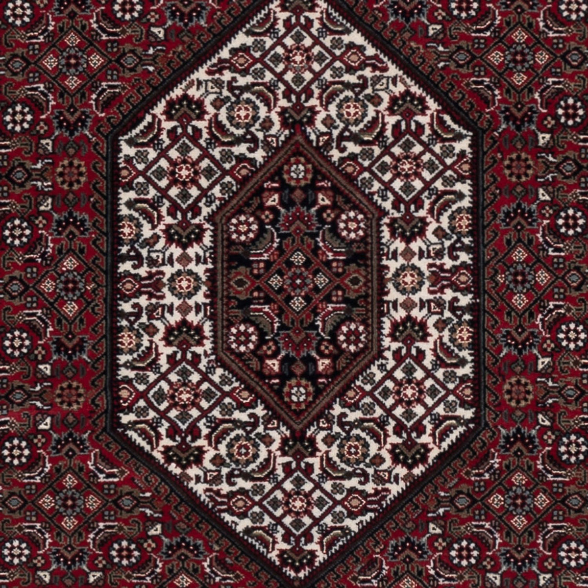 Tapis oriental - Bidjar - Indus - 204 x 145 cm - marron foncé