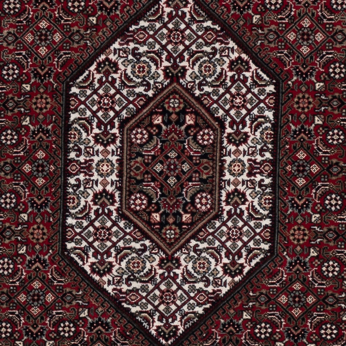 Tapis oriental - Bidjar - Indus - 202 x 138 cm - marron foncé