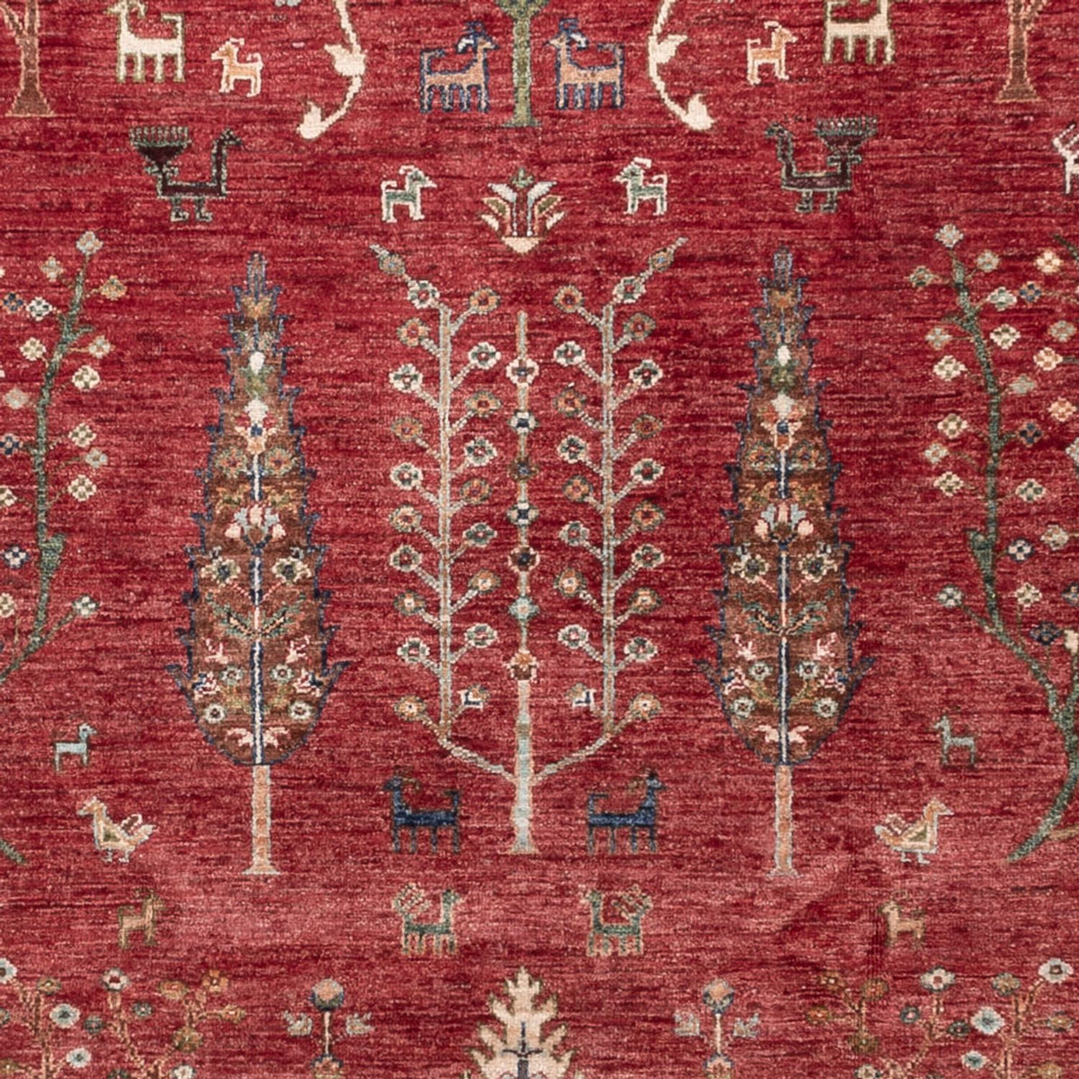Tapis Ziegler - Ariana - 301 x 210 cm - rouge