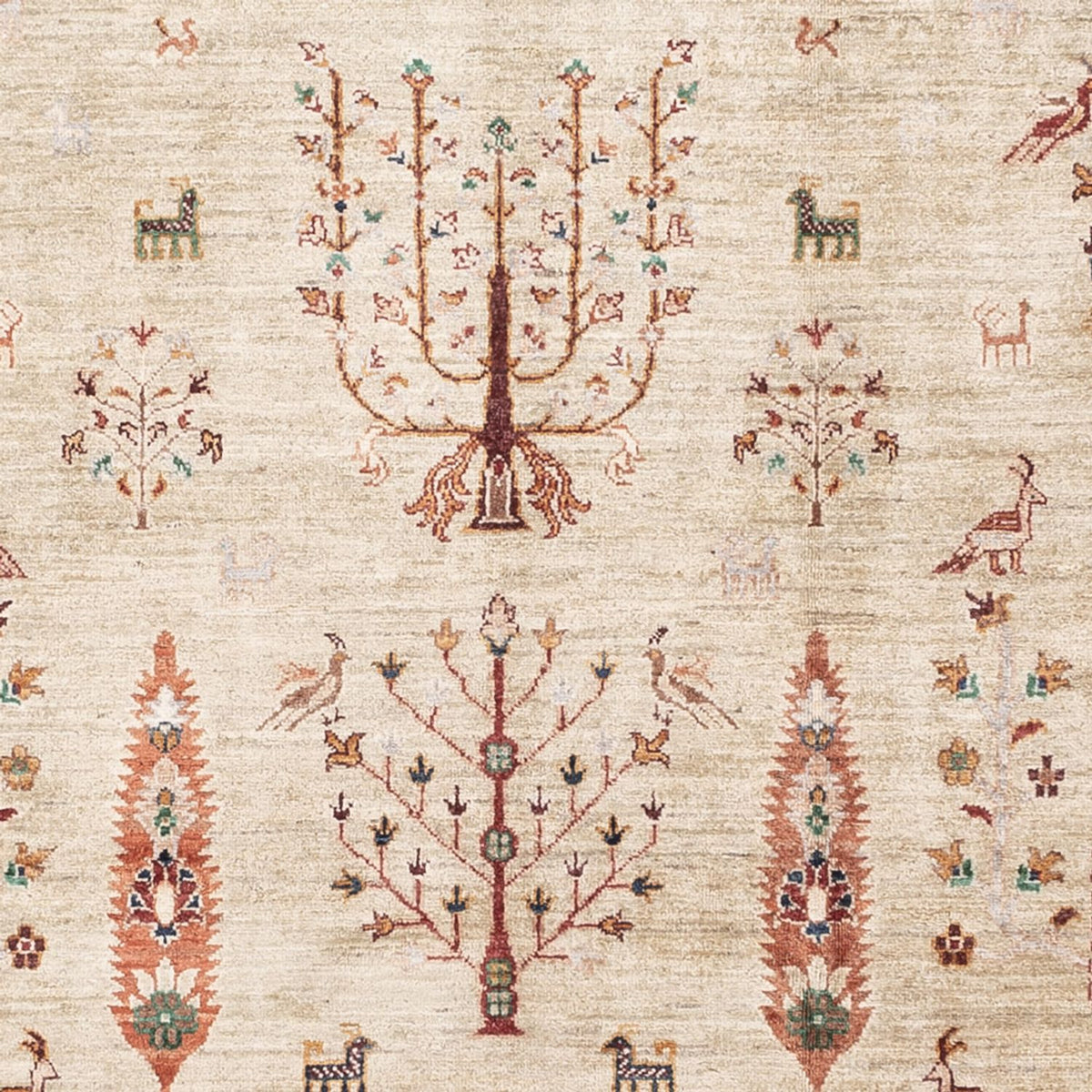Tapis Ziegler - Ariana - 305 x 207 cm - beige