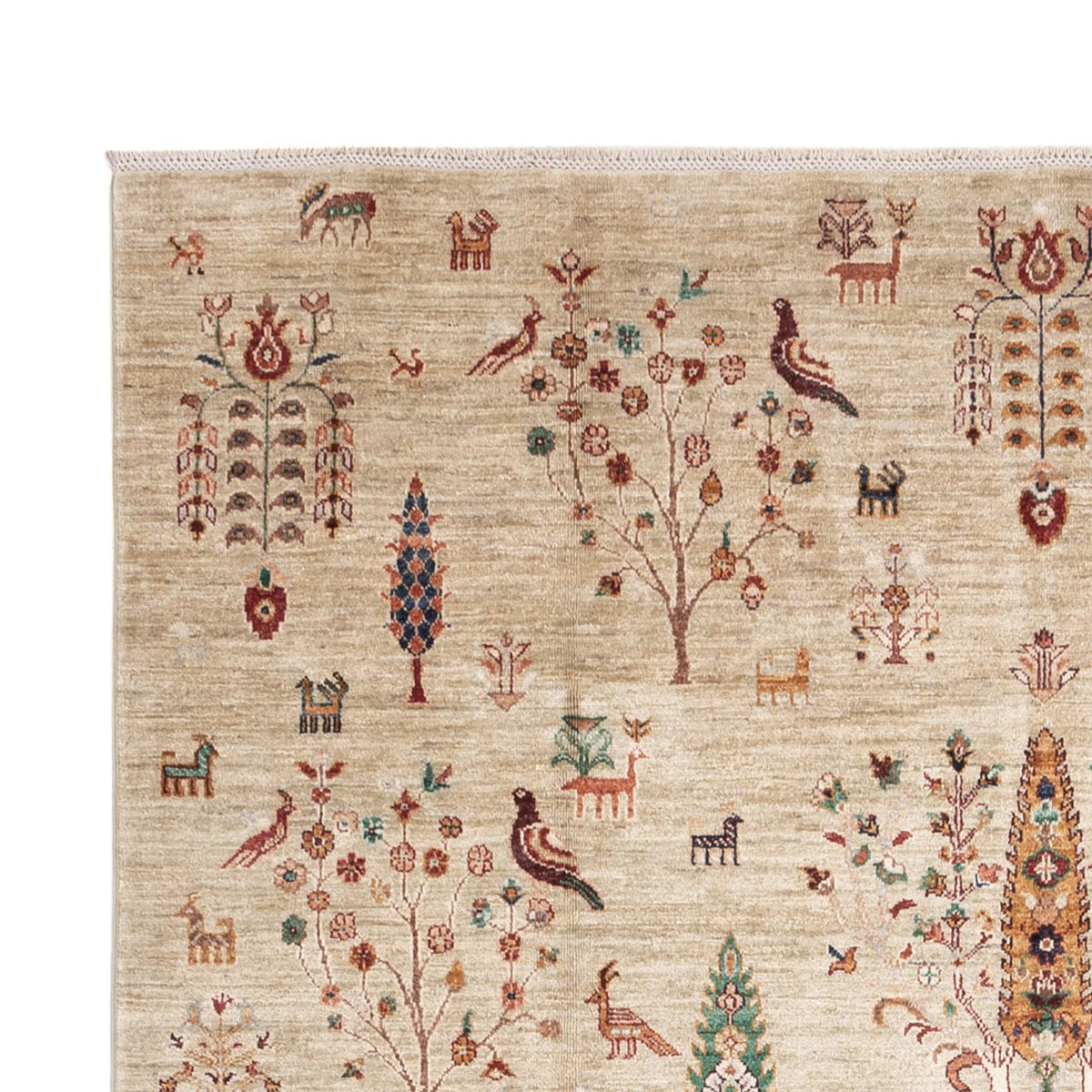 Tapis Ziegler - Ariana - 305 x 207 cm - beige