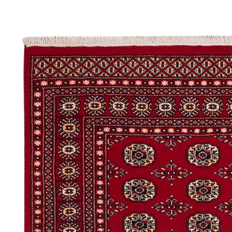 Tapis Pakistani - 256 x 167 cm - rouge