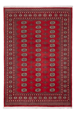 Tapis Pakistani - 243 x 168 cm - rouge