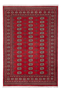 Tapis Pakistani - 243 x 168 cm - rouge
