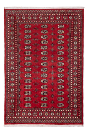Tapis Pakistani - 243 x 168 cm - rouge