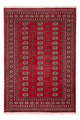 Tapis Pakistani 243x168cm - Tapis oriental