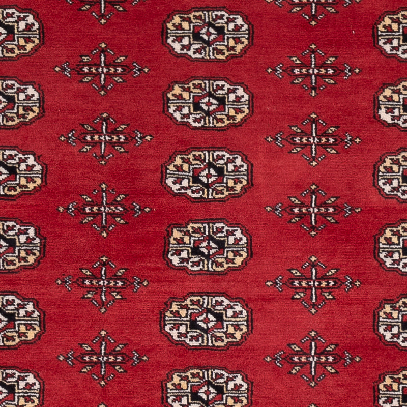 Tapis Pakistani - 243 x 168 cm - rouge