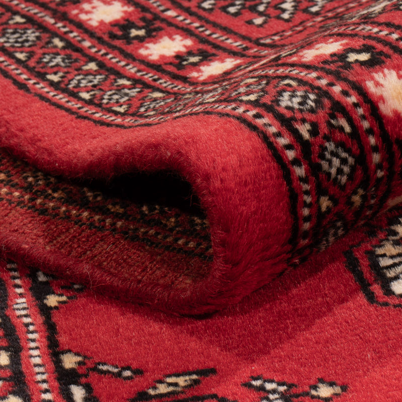 Tapis Pakistani - 243 x 168 cm - rouge