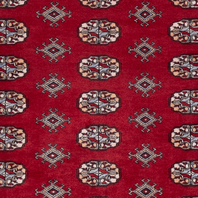 Tapis Pakistani - 241 x 154 cm - rouge