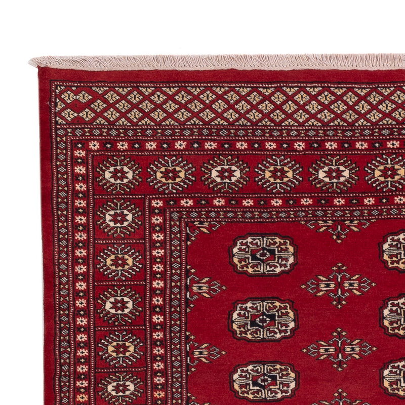 Tapis Pakistani - 240 x 171 cm - rouge