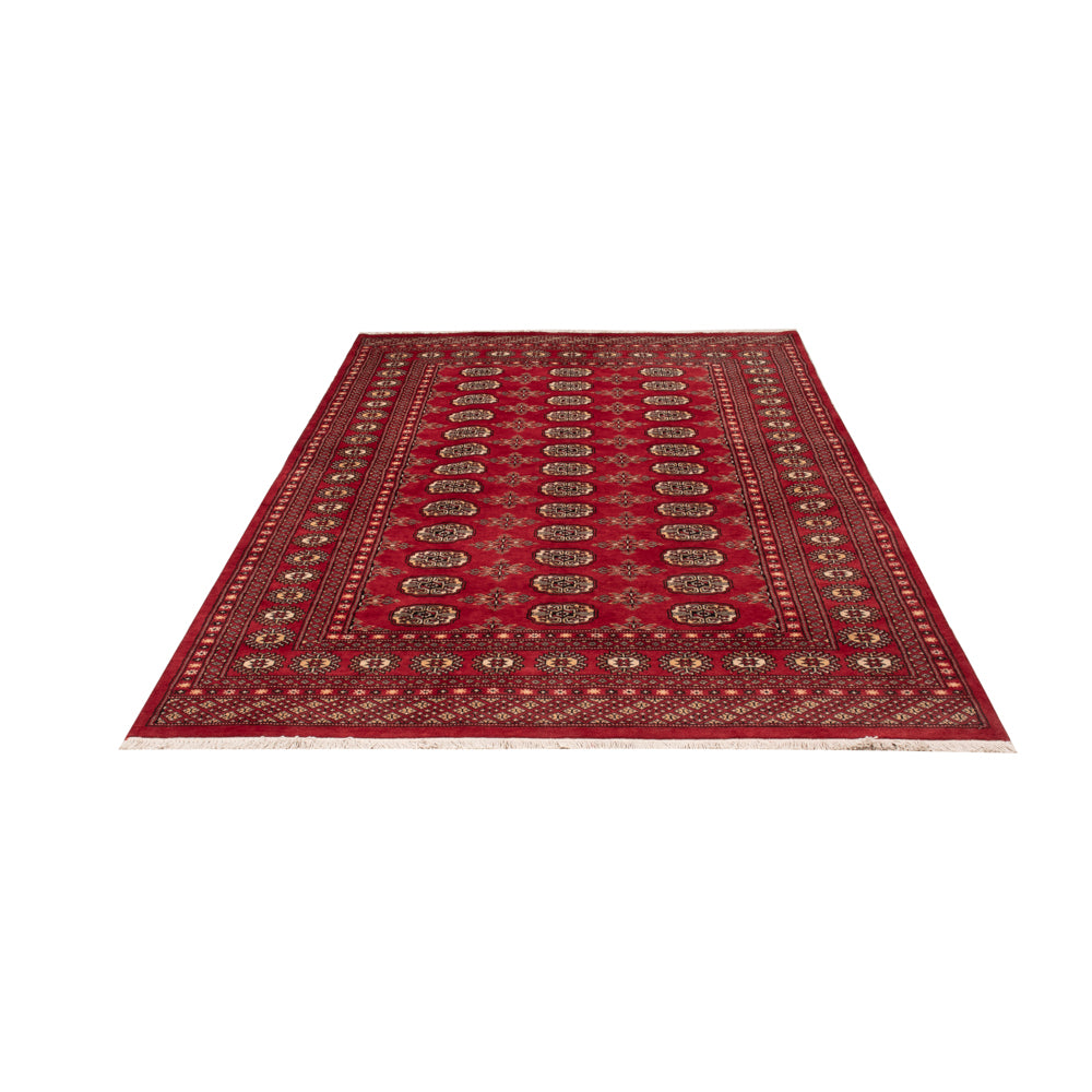 Tapis Pakistani - 250 x 159 cm - rouge
