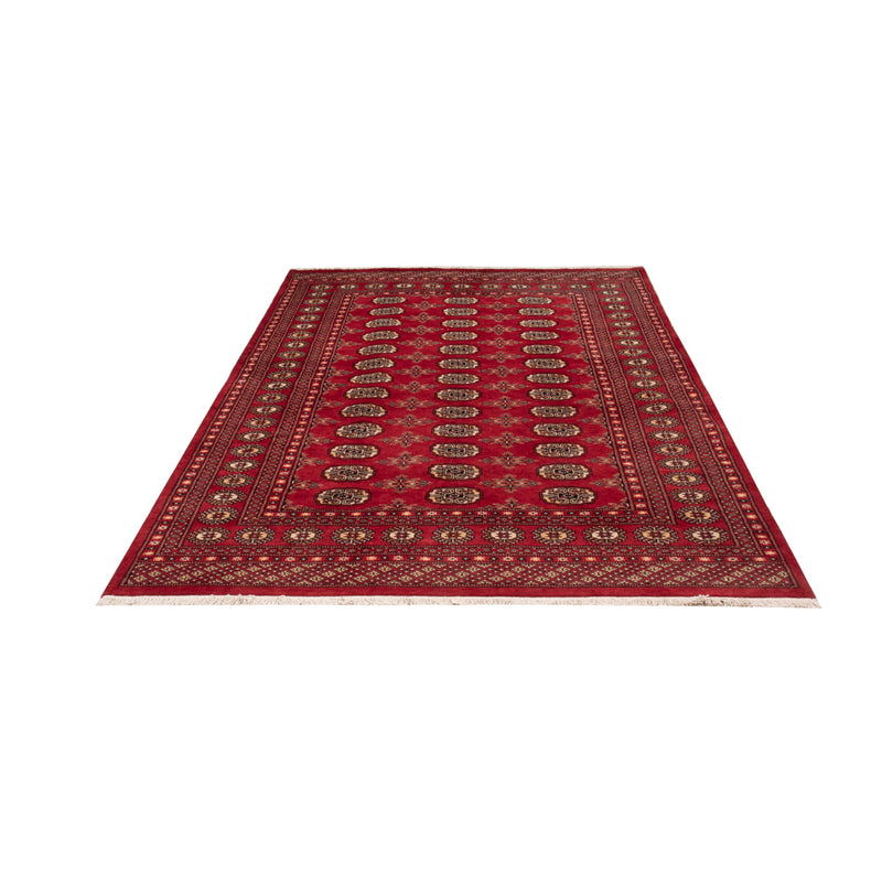 Tapis Pakistani - 250 x 159 cm - rouge
