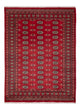 Tapis Pakistani 231x172cm - Tapis oriental