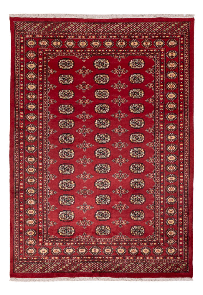 Tapis Pakistani - 245 x 170 cm - rouge