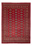 Tapis Pakistani - 245 x 170 cm - rouge
