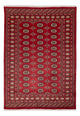 Tapis Pakistani 245x170cm - Tapis oriental
