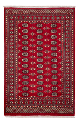 Tapis Pakistani - 258 x 179 cm - rouge