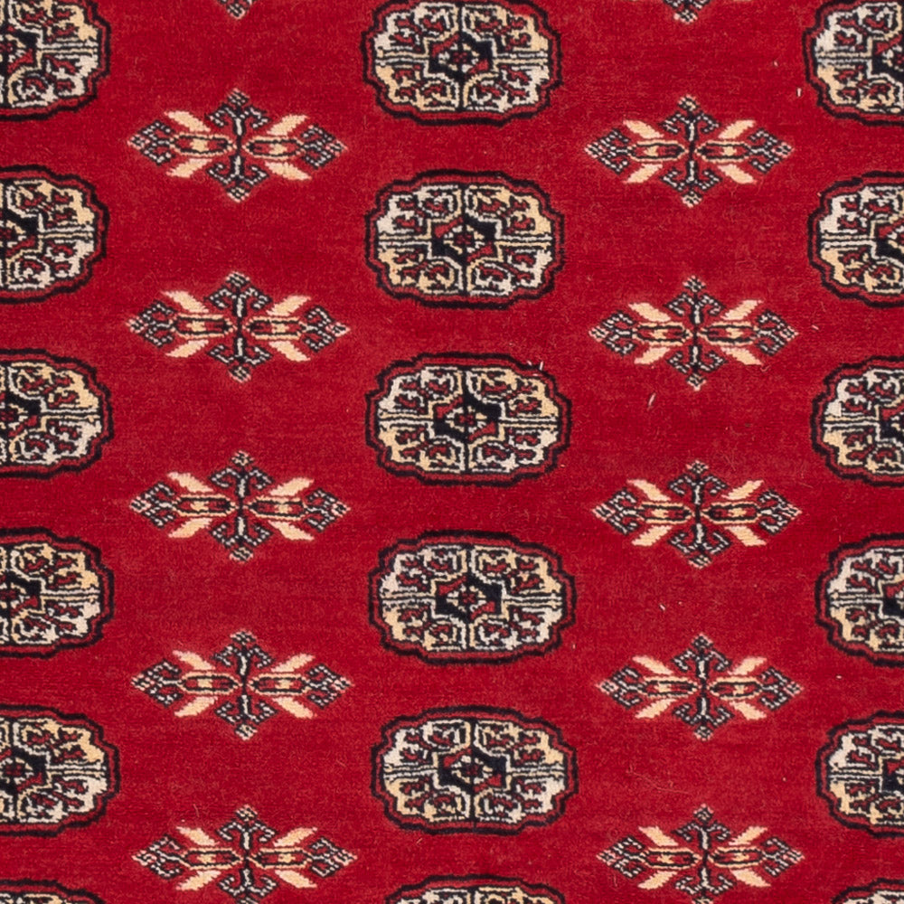 Tapis Pakistani - 258 x 179 cm - rouge