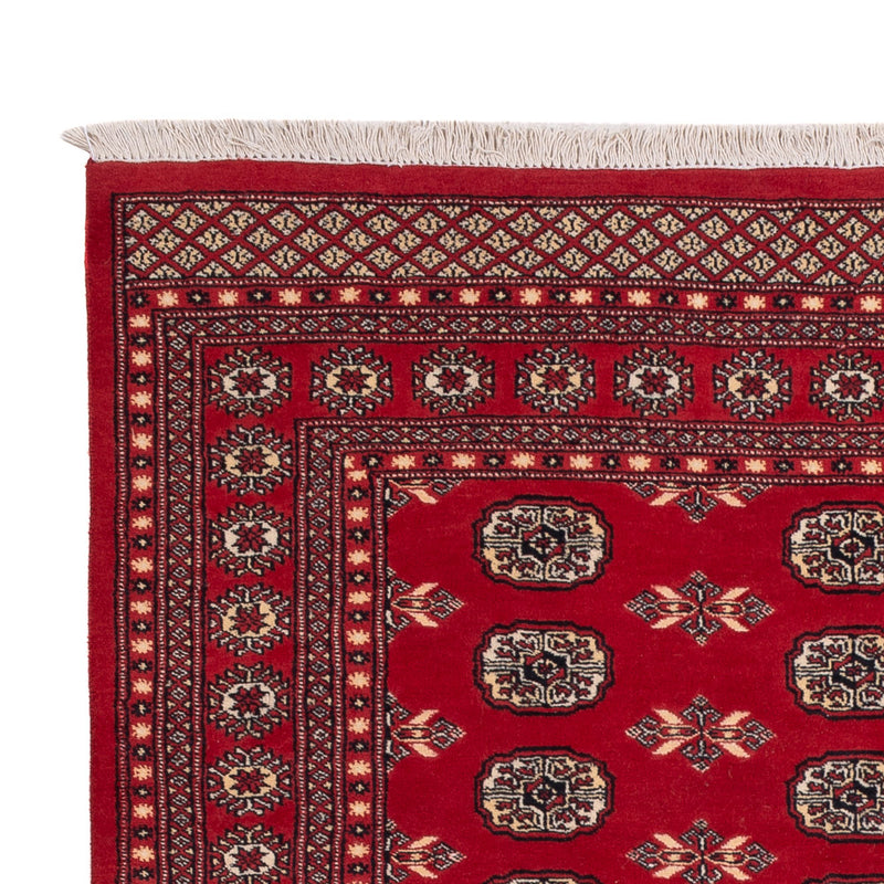 Tapis Pakistani - 258 x 179 cm - rouge