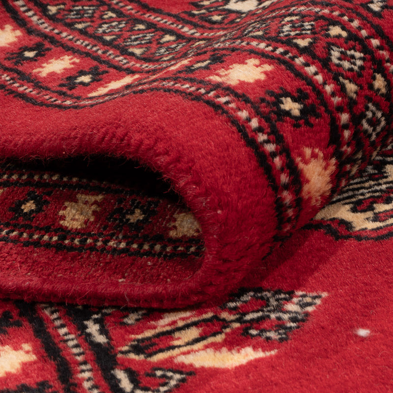 Tapis Pakistani - 258 x 179 cm - rouge