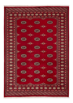 Tapis Pakistani - 236 x 171 cm - rouge