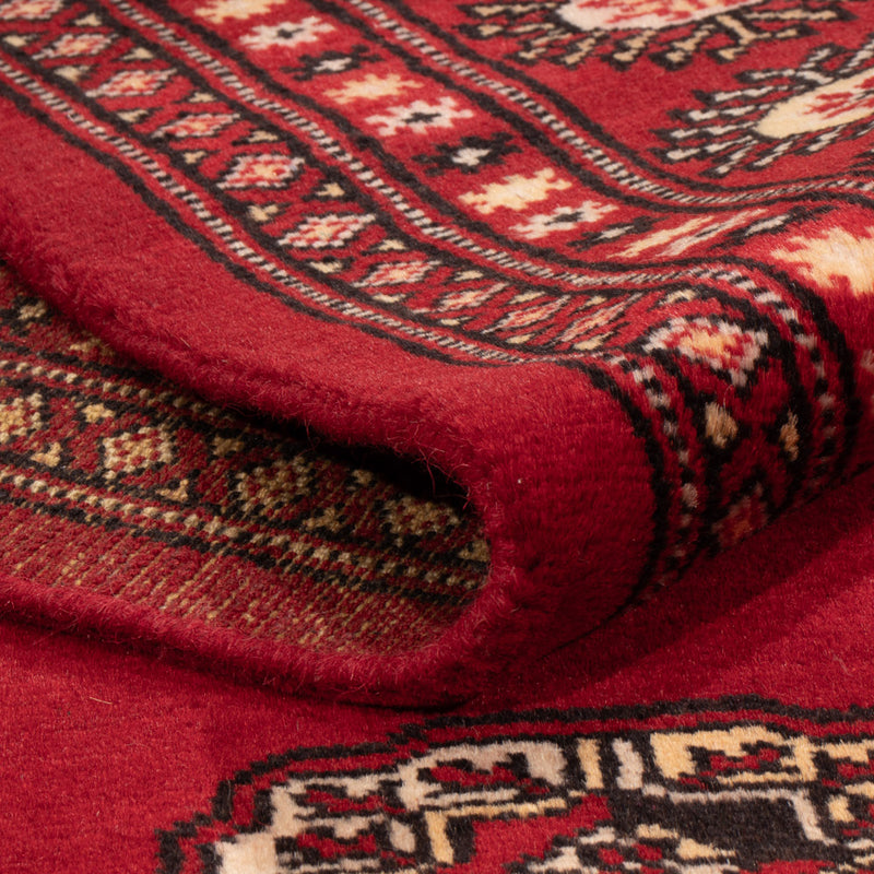 Tapis Pakistani - 236 x 171 cm - rouge