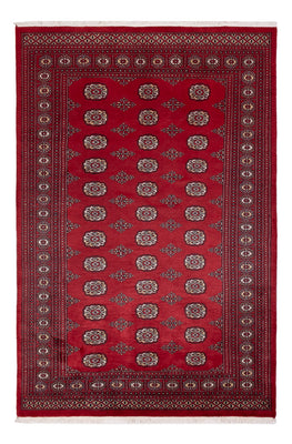 Tapis Pakistani - 249 x 167 cm - rouge