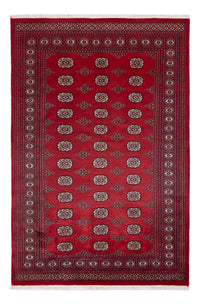 Tapis Pakistani - 249 x 167 cm - rouge