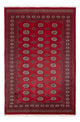 Tapis Pakistani 249x167cm - Tapis oriental