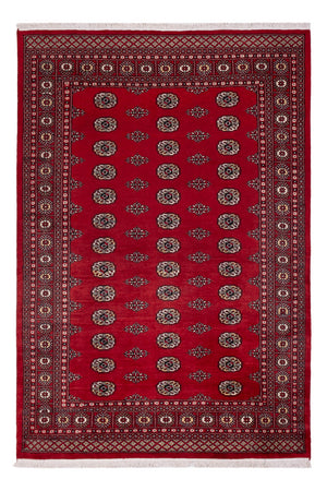 Tapis Pakistani - 239 x 164 cm - rouge