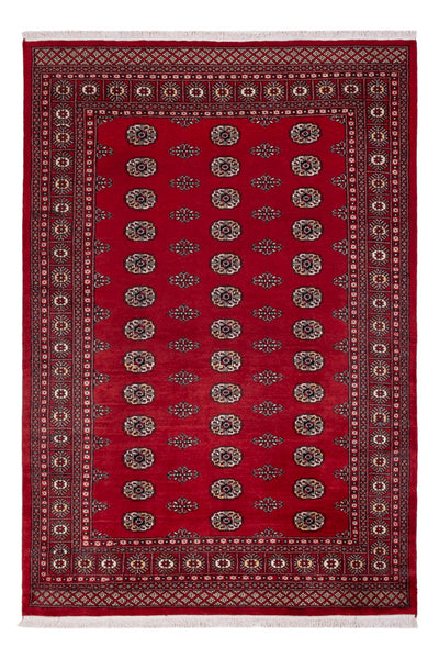 Tapis Pakistani 164x239cm - Tapis oriental