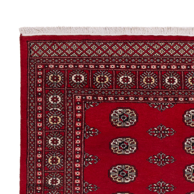 Tapis Pakistani - 239 x 164 cm - rouge