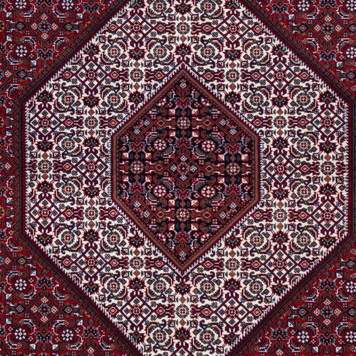 Tapis oriental - Bidjar - Indus - 305 x 251 cm - rouge foncé